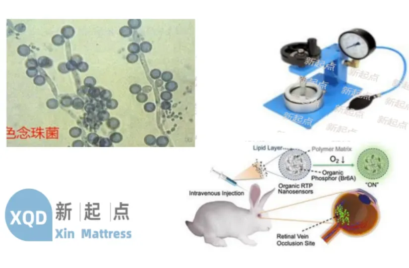 Sodina Company's Medical Materials Pass Multiple Tests, Ensuring Safer Medical Devices